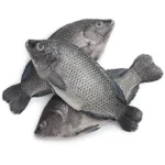 Black Tilapia Fish 2.5kg x2