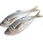 Horse Mackerel (2 per pack)