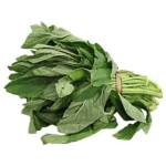 Amaranth/Green /Tete leaf Box of 5 bunches