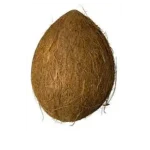 Whole Fresh Coconut - Image 2