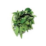 Fresh Bitter leaf Bunch