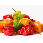 Fresh Hot Pepper 100g