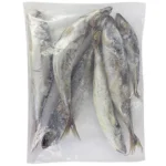 Jack Mackerel Fish 3kg
