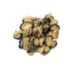 Frozen Snails 250g